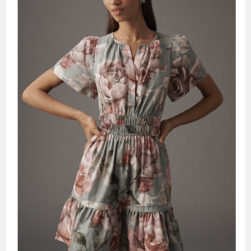 Loverly Grey x Anthropologie Somerset Mini Dress Size 2x